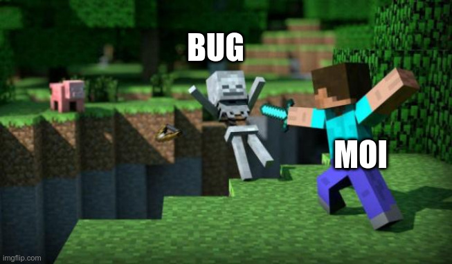 Minecraft, Mods et Linux : Impossible de lancer le jeu